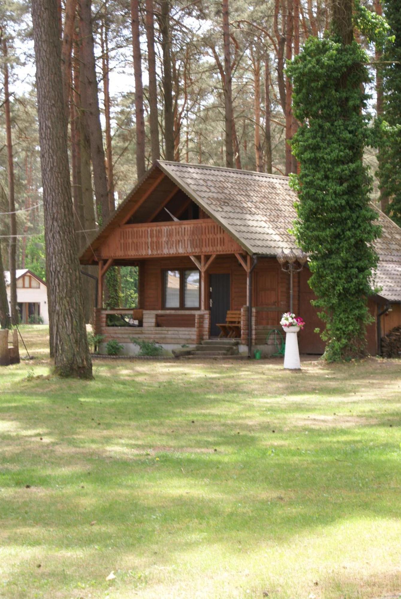 Mazurski Osrodek Szych Bogusze Kültér fotó